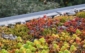 the cost of The Port Of Felixstowe green roof installation