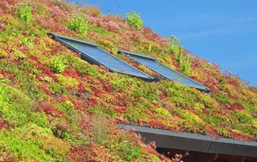 The Port Of Felixstowe living roof systems