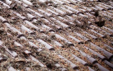 The Port Of Felixstowe roof cleaning companies